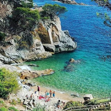 Апартаменти La Calma De Tossa Жерона Екстер'єр фото